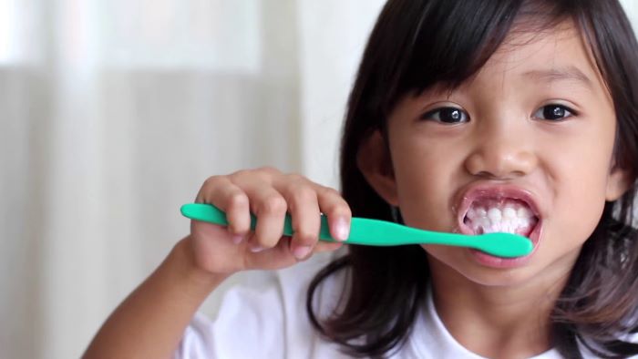 101 GUIDE TO TOOTHBRUSHES